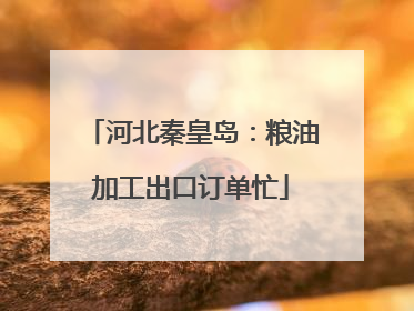 河北秦皇岛：粮油加工出口订单忙