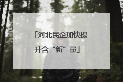 河北民企加快提升含“新”量