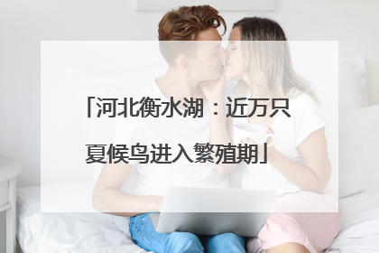 河北衡水湖：近万只夏候鸟进入繁殖期