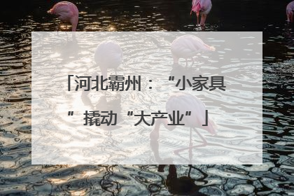 河北霸州：“小家具”撬动“大产业”