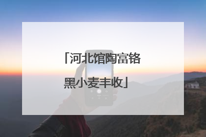 河北馆陶富铬黑小麦丰收