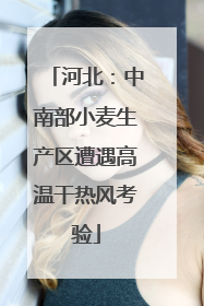 河北：中南部小麦生产区遭遇高温干热风考验