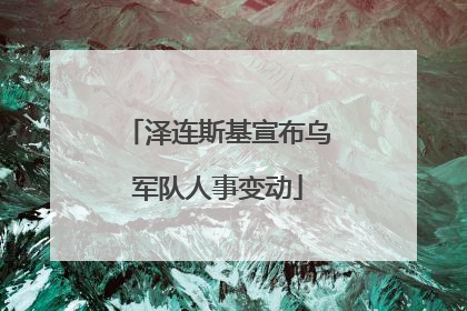 泽连斯基宣布乌军队人事变动