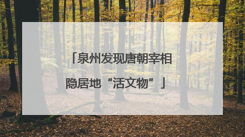 泉州发现唐朝宰相隐居地“活文物”