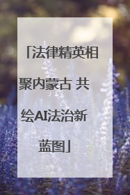 法律精英相聚内蒙古 共绘AI法治新蓝图