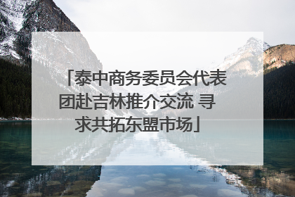泰中商务委员会代表团赴吉林推介交流 寻求共拓东盟市场