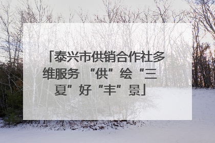 泰兴市供销合作社多维服务 “供”绘“三夏”好“丰”景