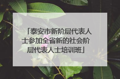 泰安市新阶层代表人士参加全省新的社会阶层代表人士培训班