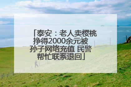 泰安：老人卖樱桃挣得2000余元被孙子网络充值 民警帮忙联系退回