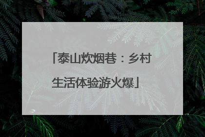 泰山炊烟巷：乡村生活体验游火爆