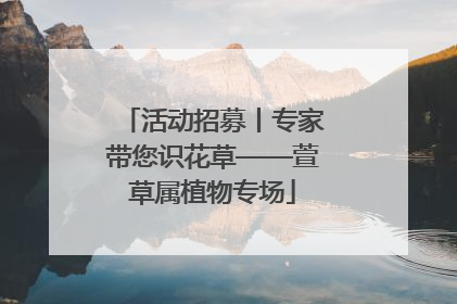 活动招募丨专家带您识花草——萱草属植物专场