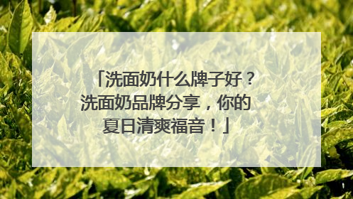 洗面奶什么牌子好？洗面奶品牌分享，你的夏日清爽福音！