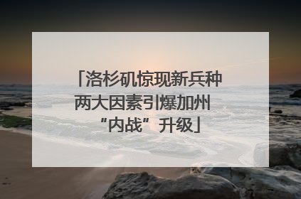 洛杉矶惊现新兵种 两大因素引爆加州“内战”升级