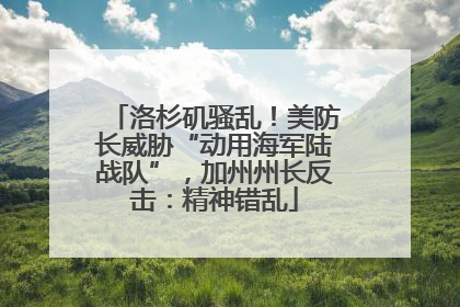 洛杉矶骚乱！美防长威胁“动用海军陆战队”，加州州长反击：精神错乱