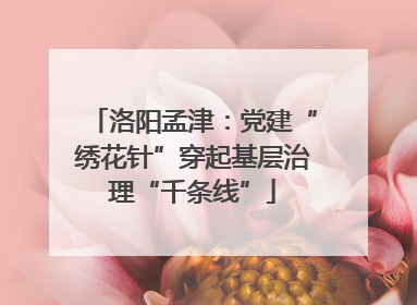 洛阳孟津：党建“绣花针”穿起基层治理“千条线”