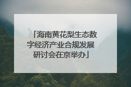 海南黄花梨生态数字经济产业合规发展研讨会在京举办