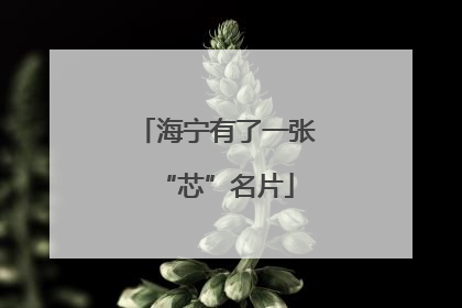 海宁有了一张“芯”名片