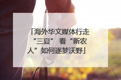 海外华文媒体行走“三夏” 看“新农人”如何逐梦沃野