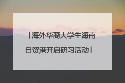 海外华裔大学生海南自贸港开启研习活动