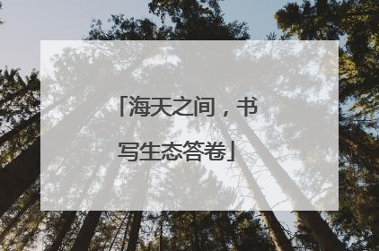 海天之间，书写生态答卷