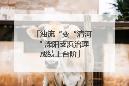 浊流“变“清河“ 溧阳支浜治理成绩上台阶