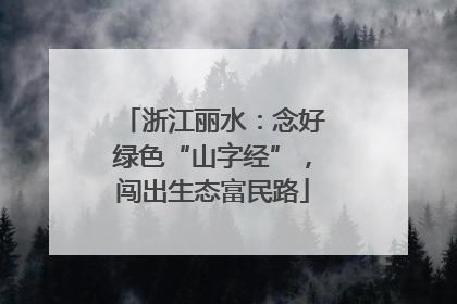 浙江丽水：念好绿色“山字经”，闯出生态富民路