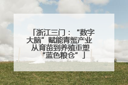 浙江三门：“数字大脑”赋能青蟹产业 从育苗到养殖重塑“蓝色粮仓”