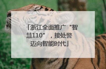 浙江全面推广“智慧110”，接处警迈向智能时代