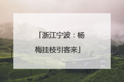 浙江宁波：杨梅挂枝引客来