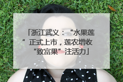 浙江武义：“水果莲”正式上市，莲农增收“致富果”注活力