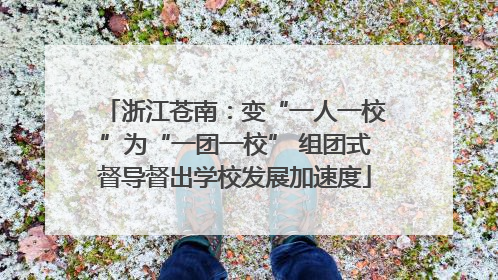 浙江苍南：变“一人一校”为“一团一校” 组团式督导督出学校发展加速度