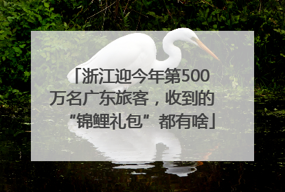 浙江迎今年第500万名广东旅客，收到的“锦鲤礼包”都有啥