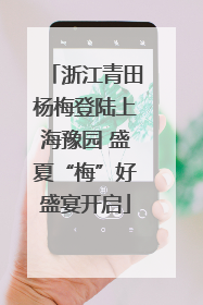 浙江青田杨梅登陆上海豫园 盛夏“梅”好盛宴开启