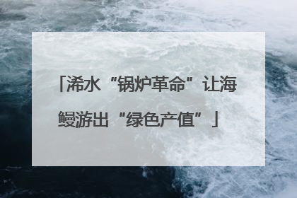 浠水“锅炉革命”让海鳗游出“绿色产值”