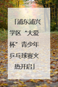 浦东浦兴学区“大爱杯”青少年乒乓球赛火热开启
