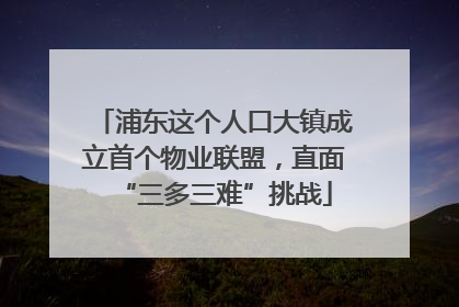 浦东这个人口大镇成立首个物业联盟，直面“三多三难”挑战