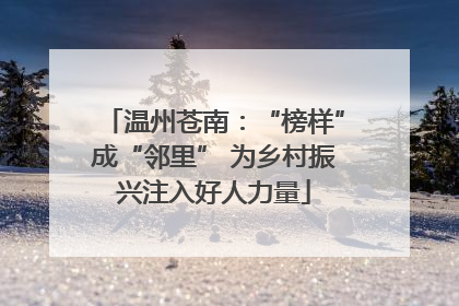 温州苍南：“榜样”成“邻里” 为乡村振兴注入好人力量