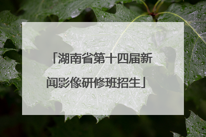 湖南省第十四届新闻影像研修班招生
