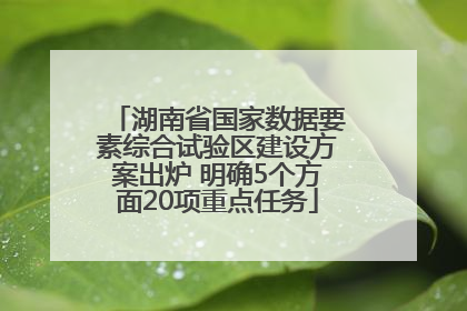 湖南省国家数据要素综合试验区建设方案出炉 明确5个方面20项重点任务