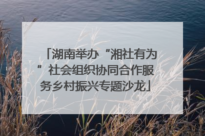 湖南举办“湘社有为”社会组织协同合作服务乡村振兴专题沙龙