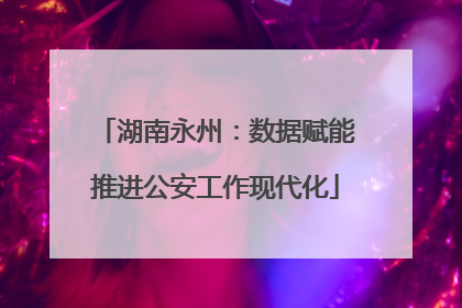 湖南永州：数据赋能推进公安工作现代化