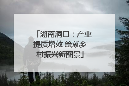 湖南洞口：产业提质增效 绘就乡村振兴新图景