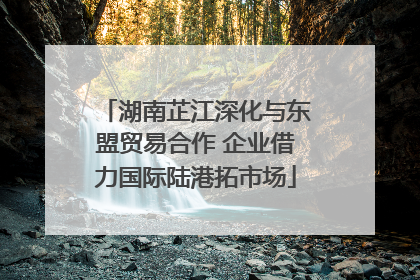 湖南芷江深化与东盟贸易合作 企业借力国际陆港拓市场
