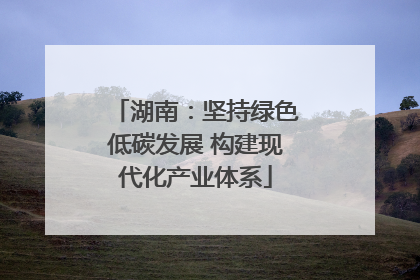 湖南：坚持绿色低碳发展 构建现代化产业体系