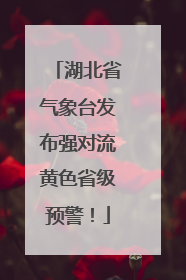 湖北省气象台发布强对流黄色省级预警！