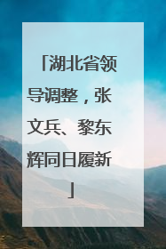 湖北省领导调整，张文兵、黎东辉同日履新