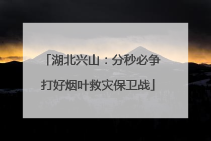 湖北兴山：分秒必争 打好烟叶救灾保卫战