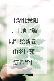 湖北崇阳：土地“破局”绘新卷 山乡巨变绽芳华