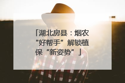 湖北房县：烟农“好帮手”解锁植保“新姿势”
