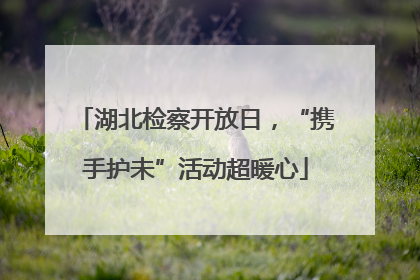 湖北检察开放日，“携手护未”活动超暖心